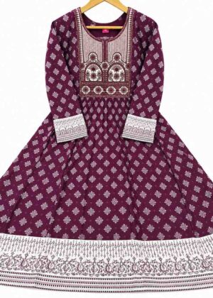 Elegant Ethnic Rayon Printed Kurti-HIFI285