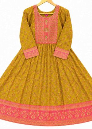 Elegant Ethnic Rayon Printed Kurti-HIFI288