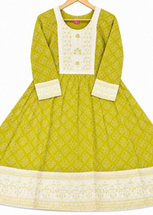 Elegant Ethnic Rayon Printed Kurti-HIFI293