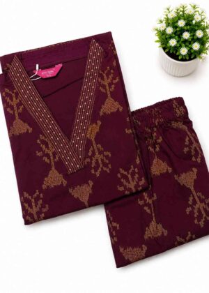 Women's Elite Rayon Co-Ord Set-HIFI349